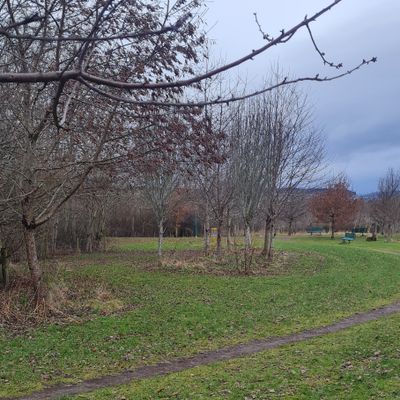 Hole 7