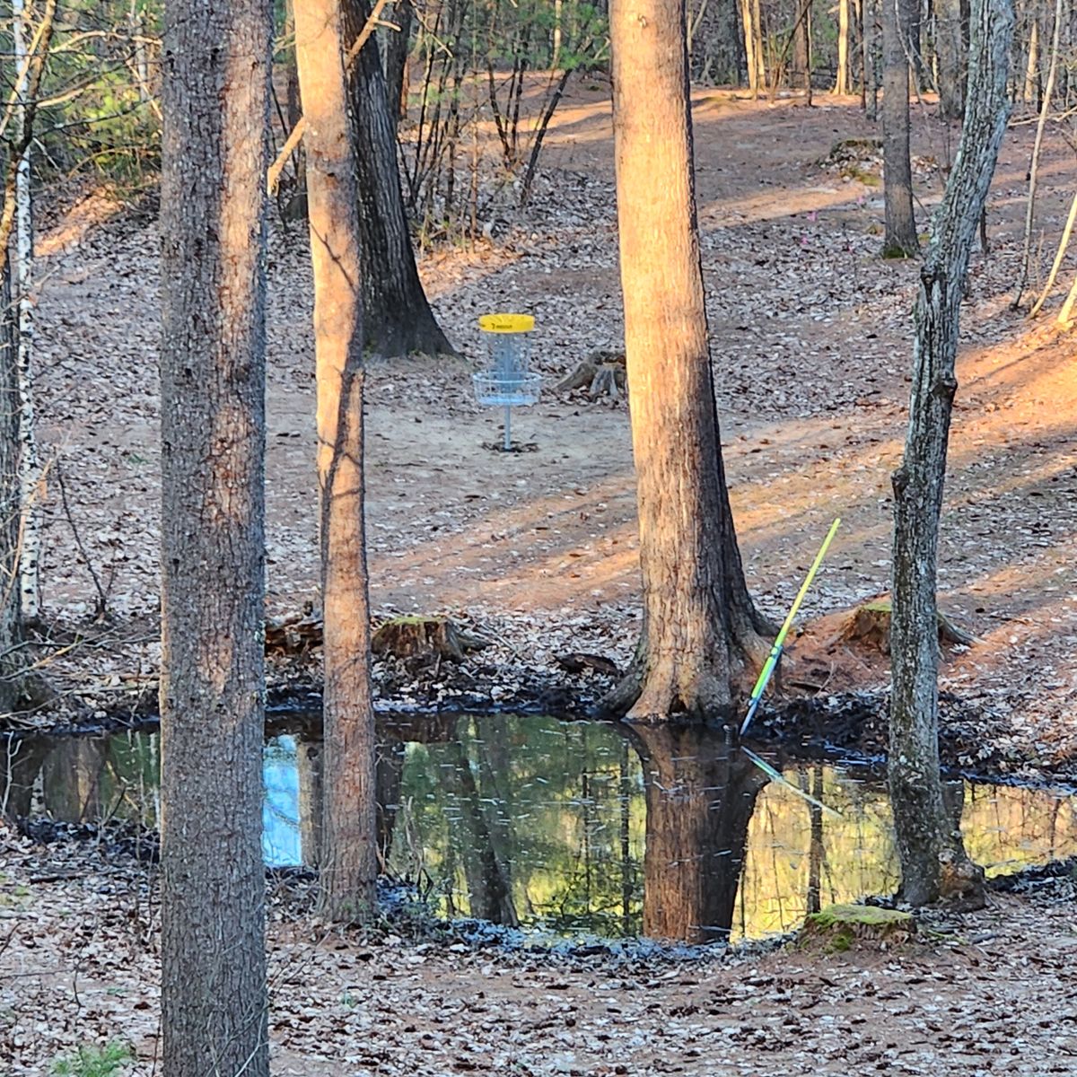 Hole 7