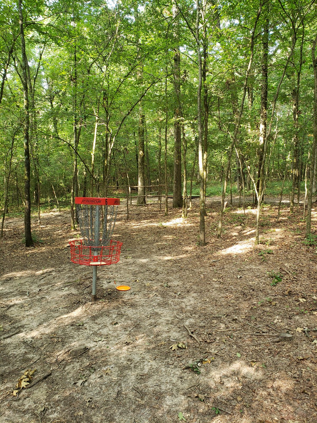 #6 Red Basket