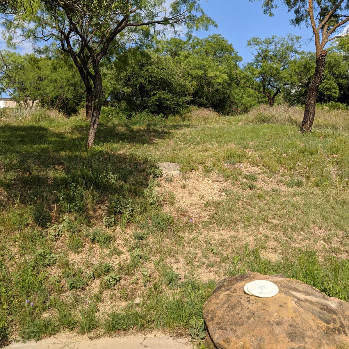 Hole 16 from the tee. The basket is up the small incline in a group of trees.