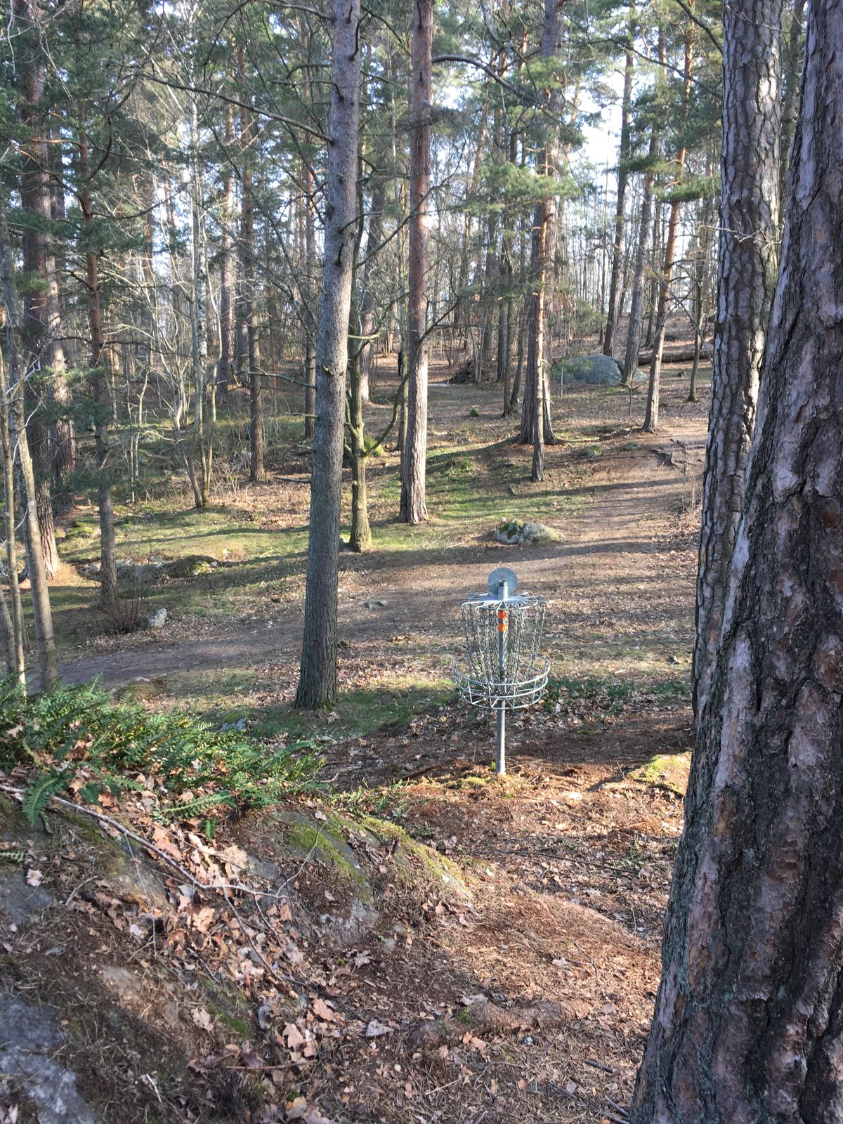 Hole #13/18