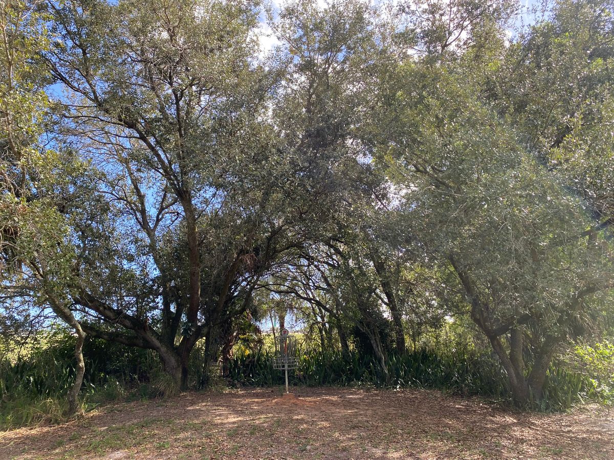 Basket on hole 7.