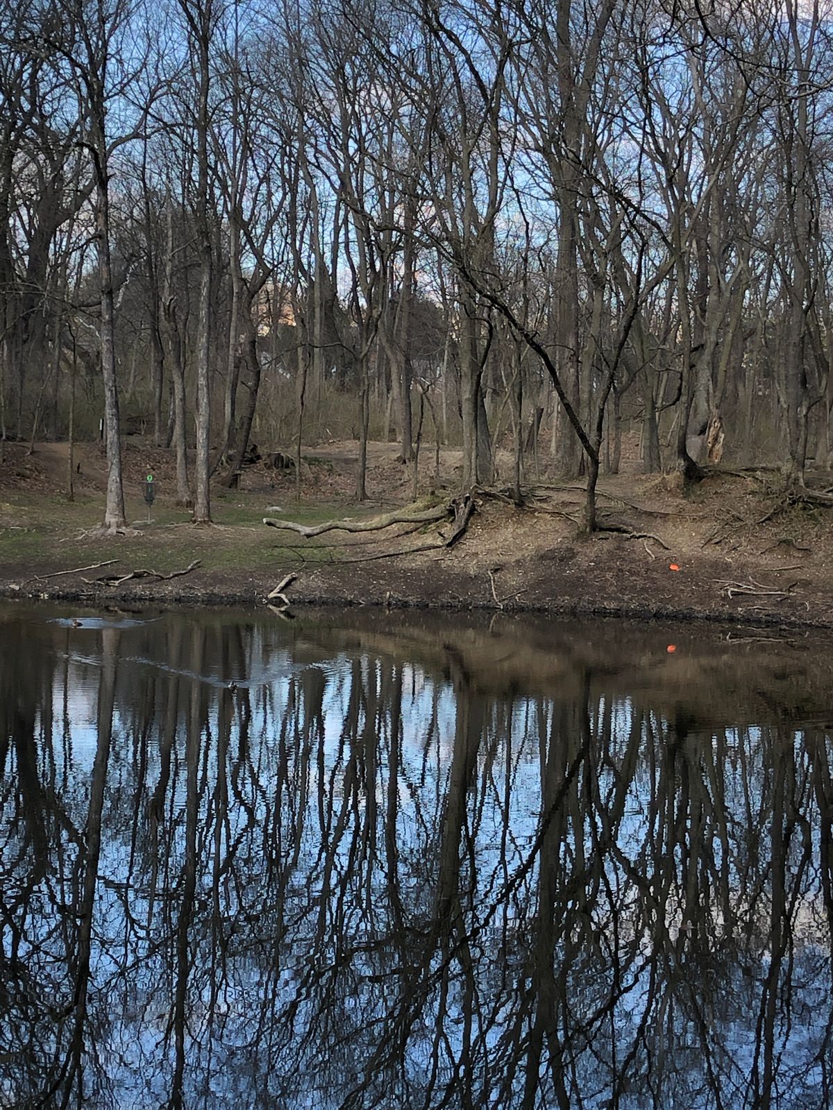 The very fun pond