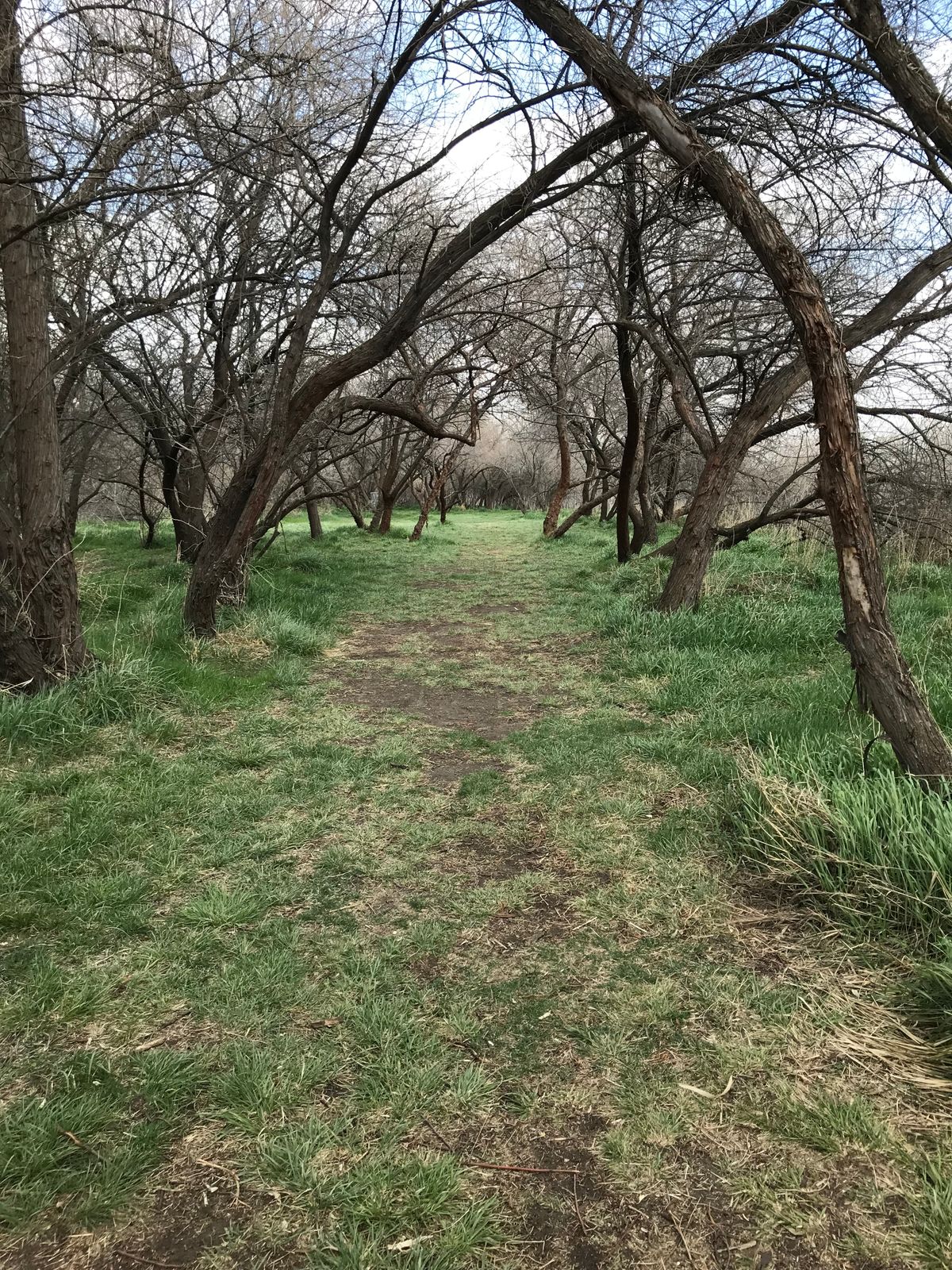 Hole #18