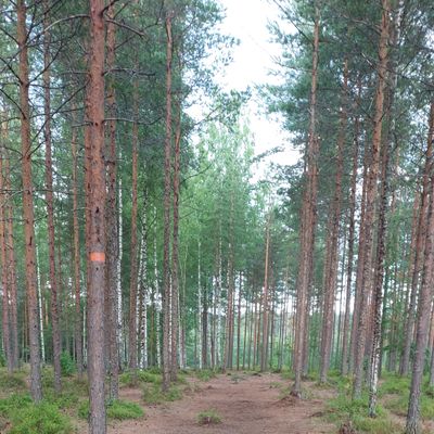 Väylä 16