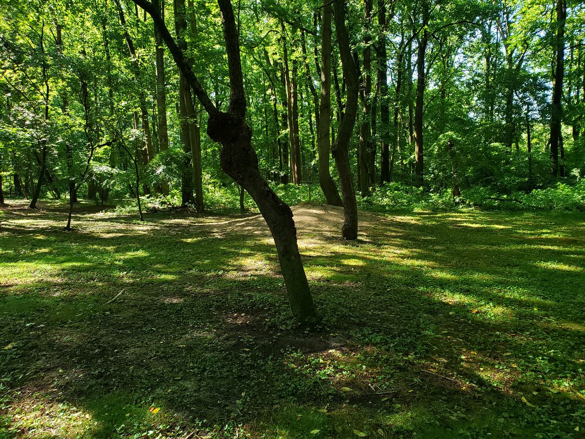 Hole 14 Basket