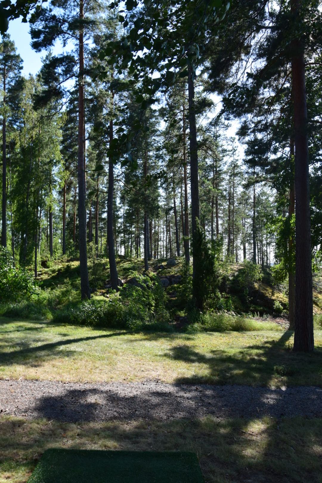 Väylä 8. 69m. Ylämäkeen heitettävä vaikea ja tiukka metsäpilli.