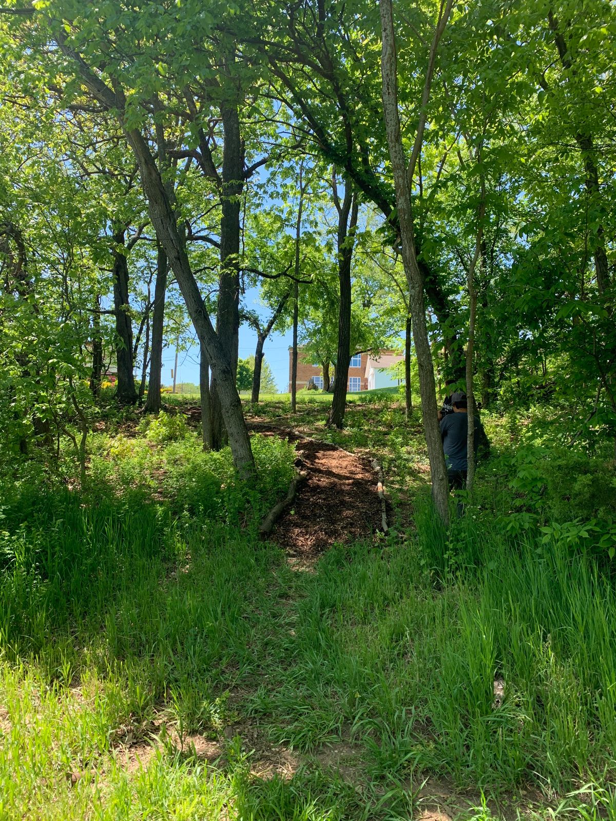 Hole 8 cart path