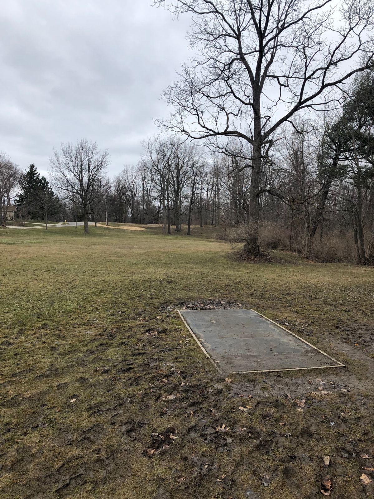 7th tee