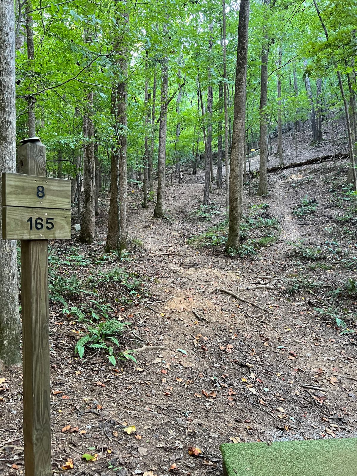 Hole 8