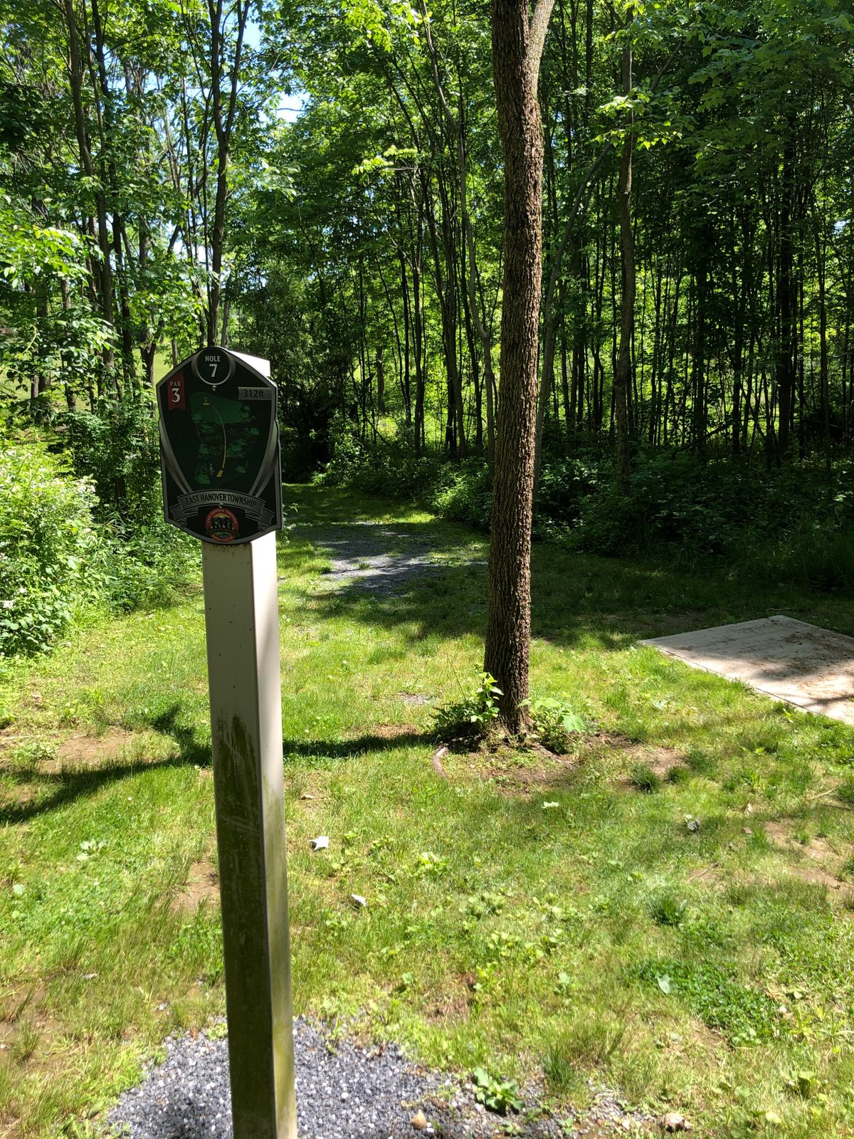 Hole 7