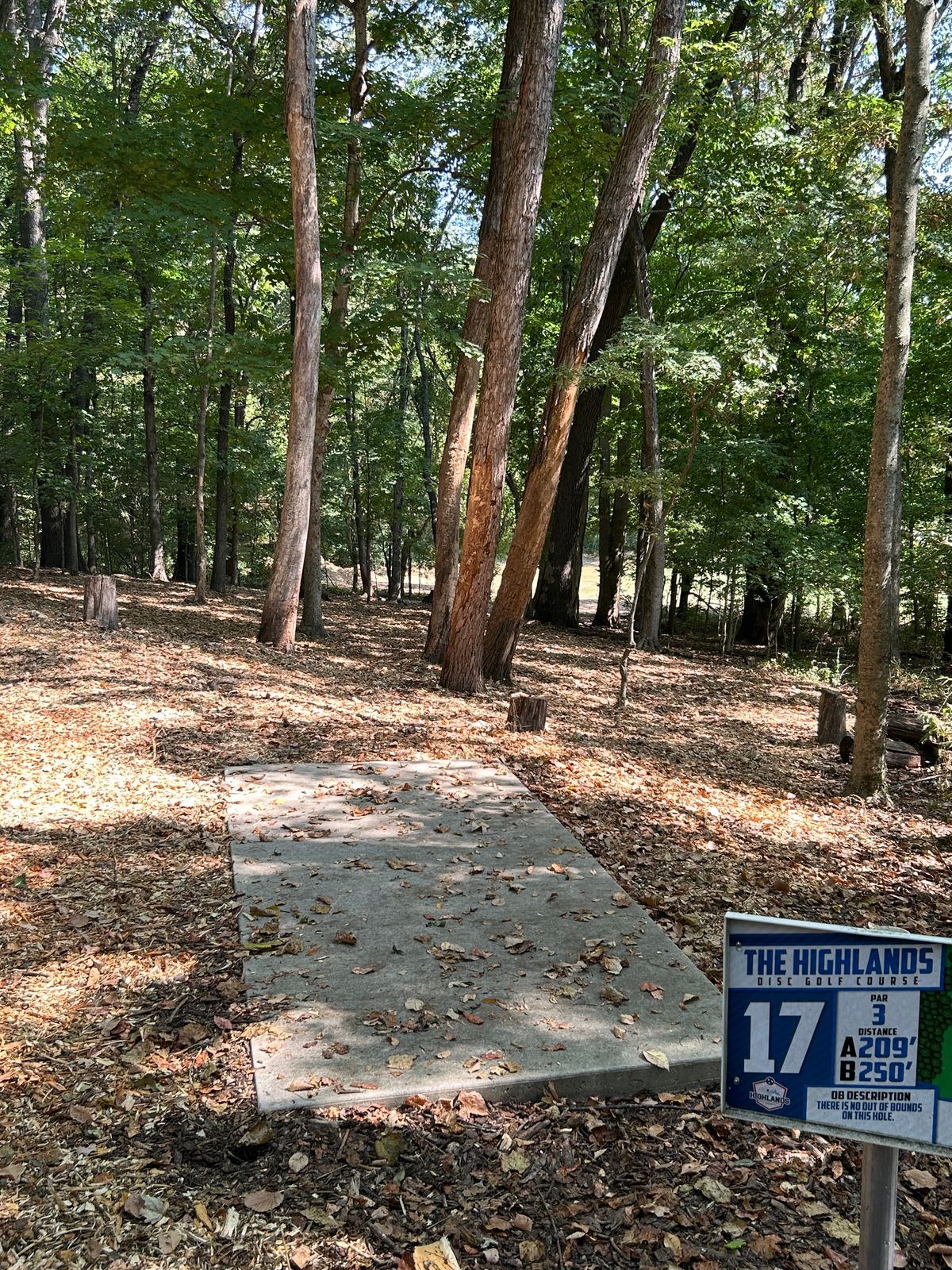 Hole 17 tee