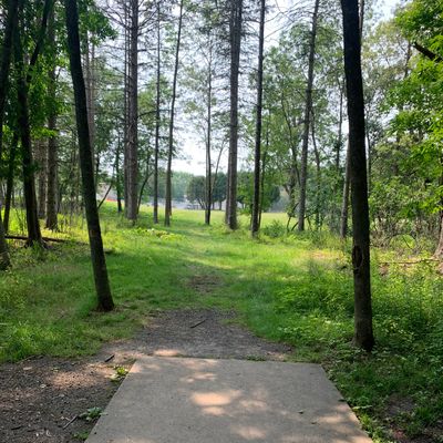 View of hole 2 looking towards basket.