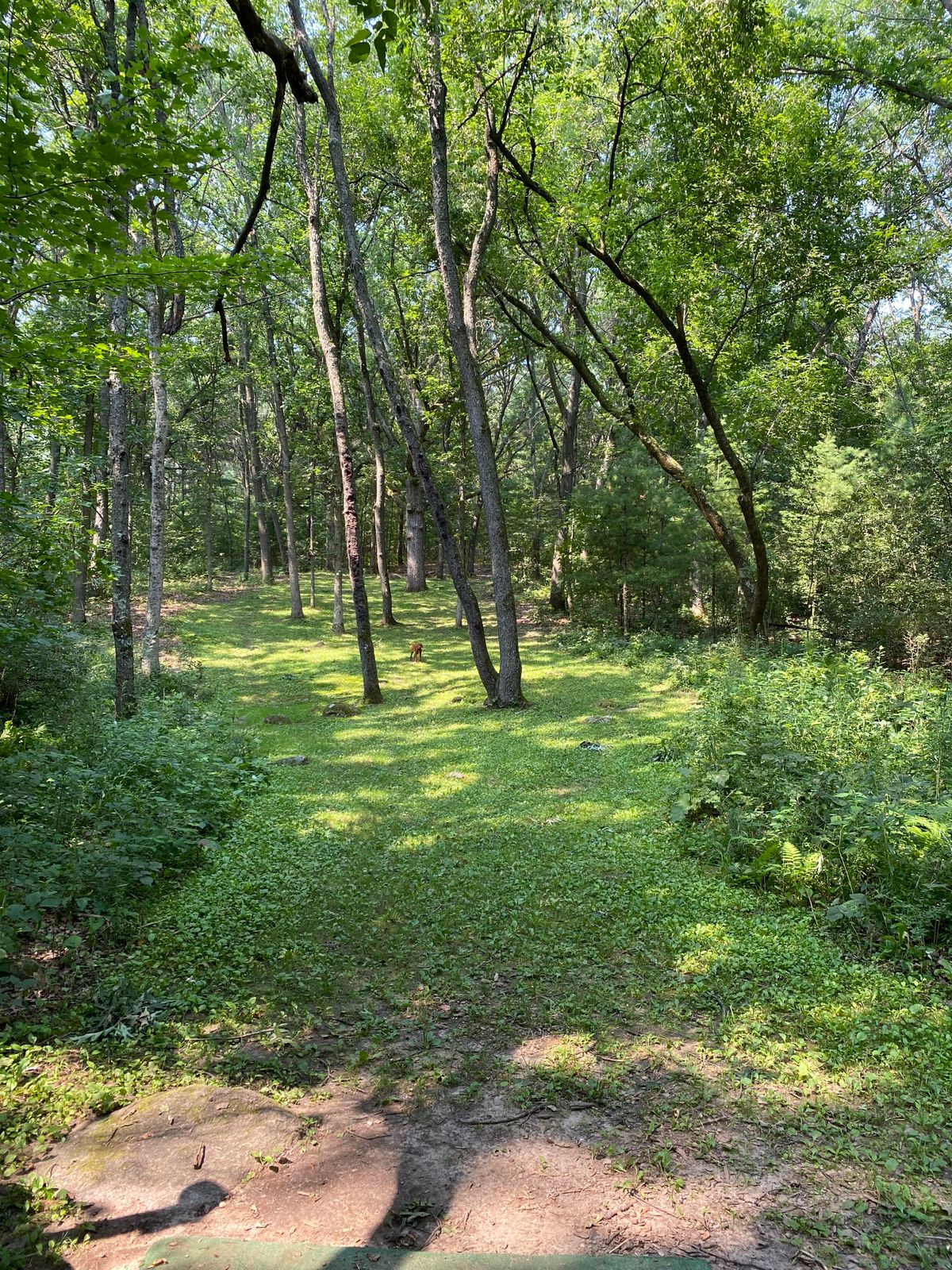 Hole #2 from tee.