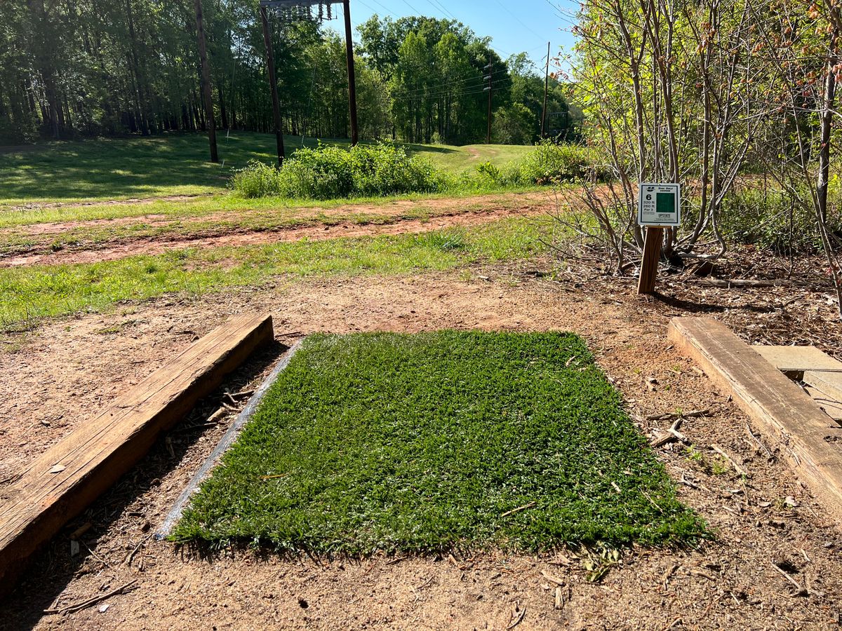 Hole 6 Short (2022)