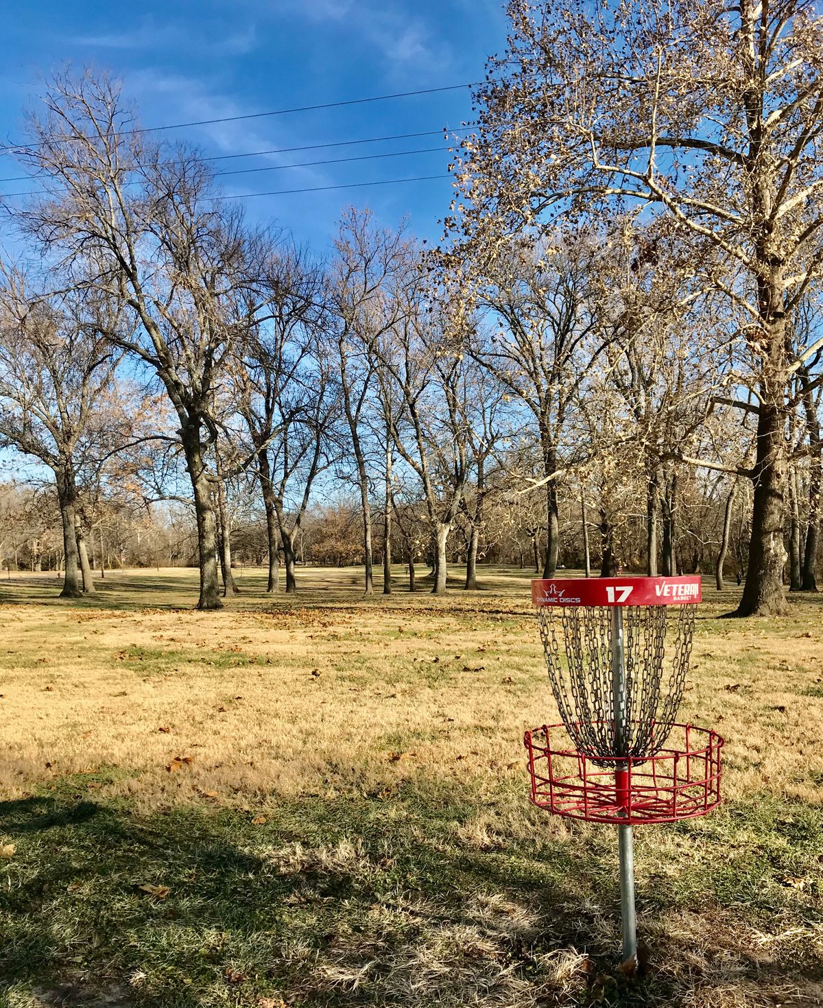 Hole 17 Basket to Tee