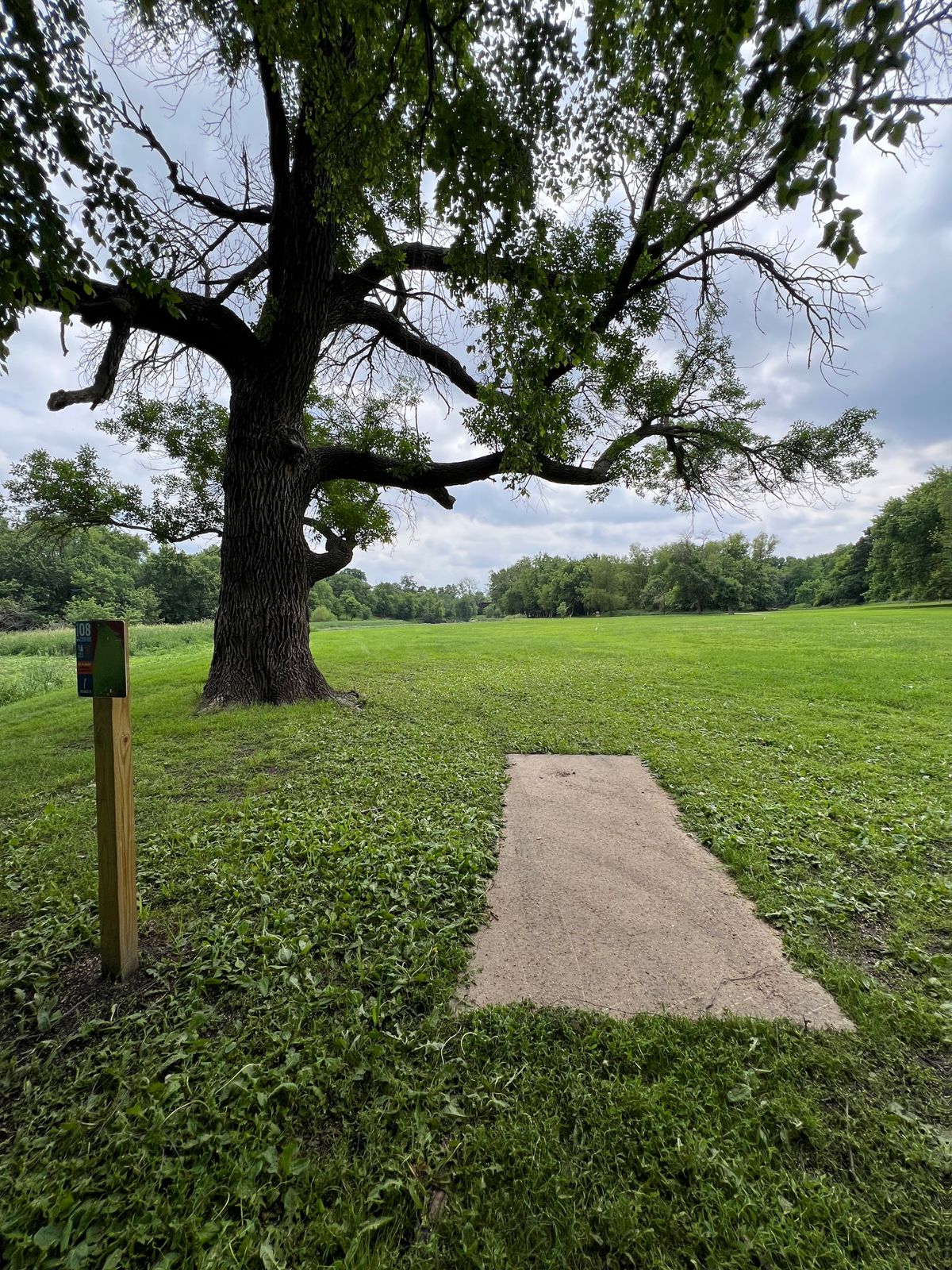 Hole #8