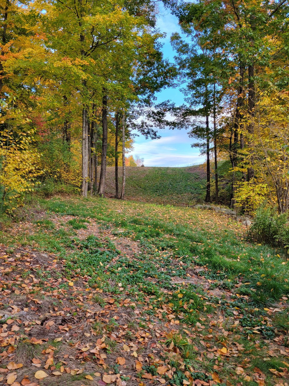 Hole 17 from the tee.