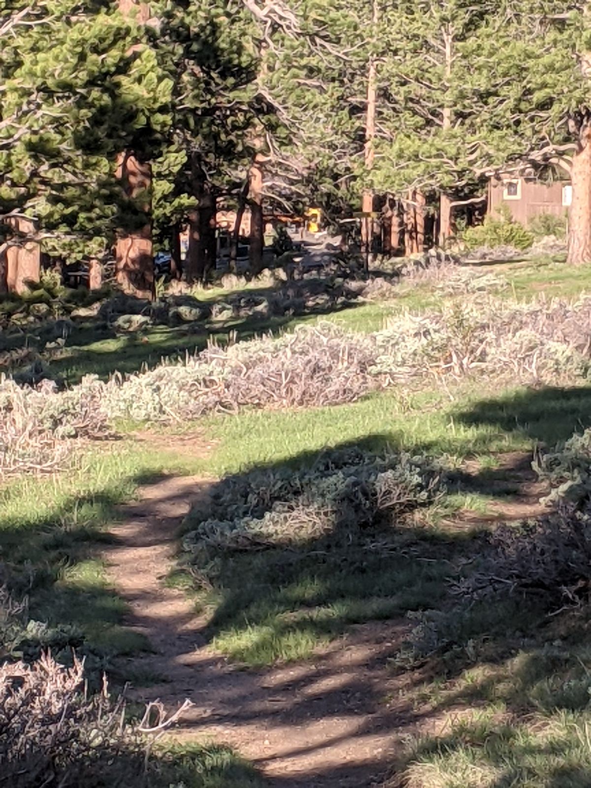 Hole 6