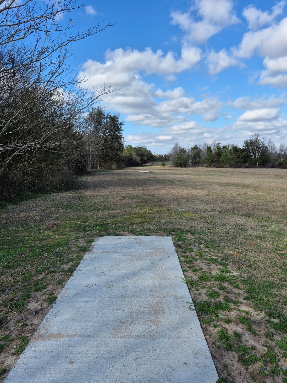 Hole 5 long pad