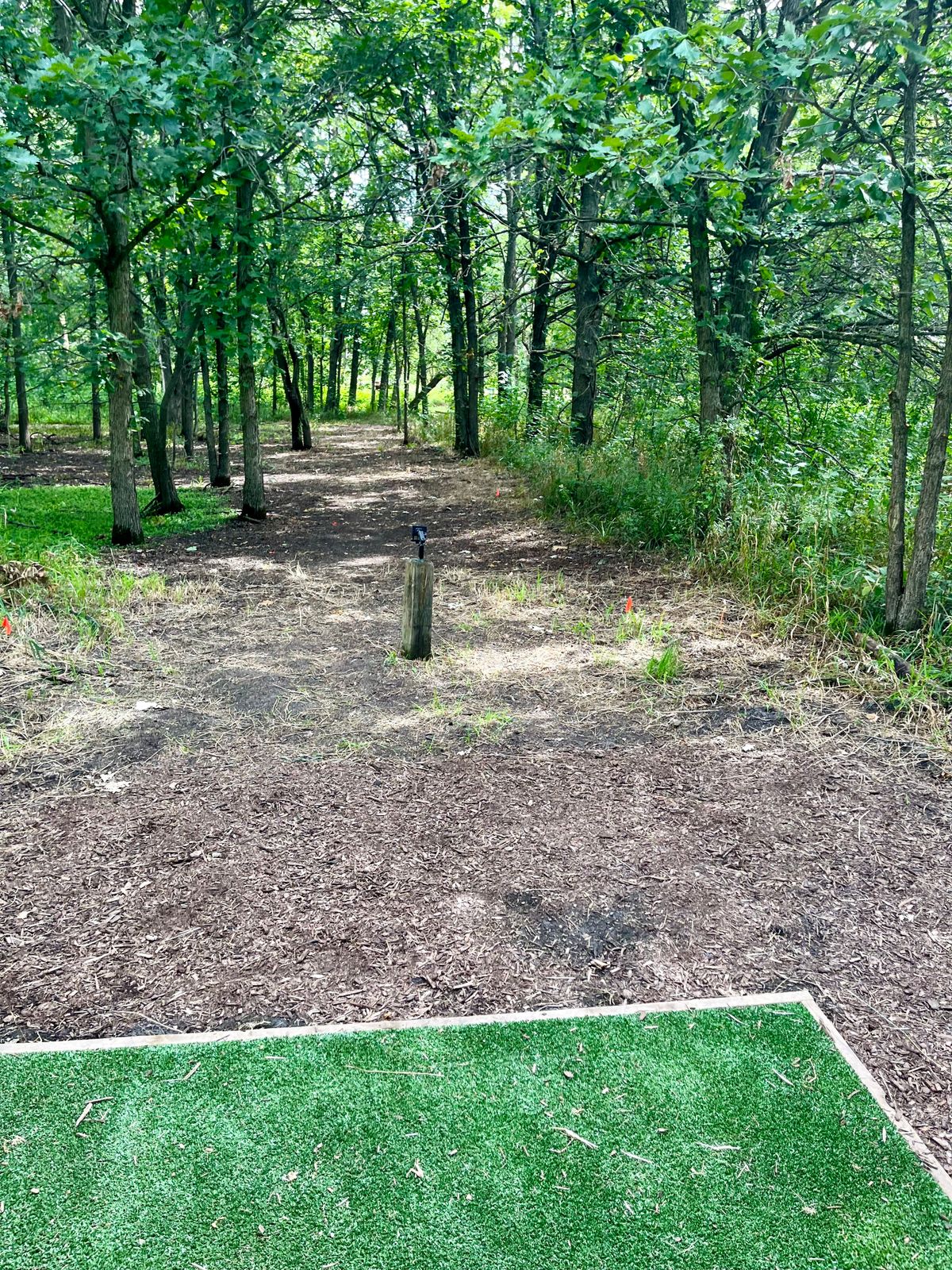 Hole 4