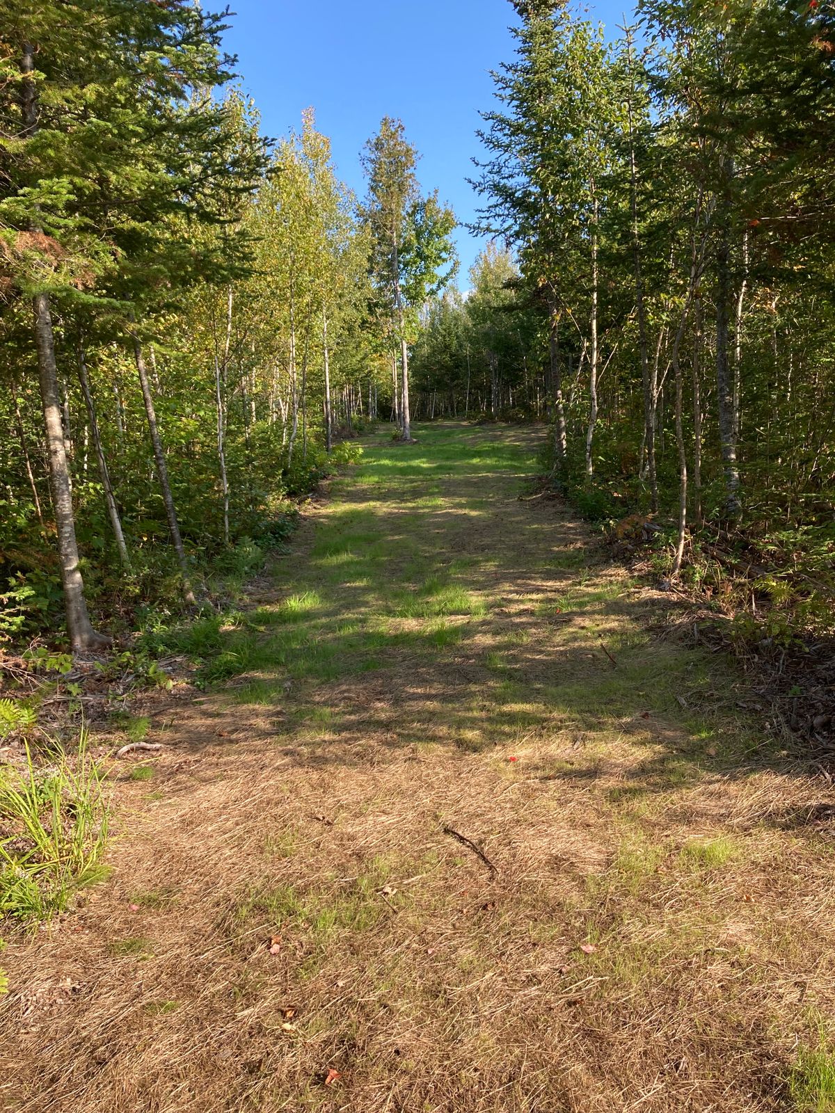 Hole 10 free m the tee