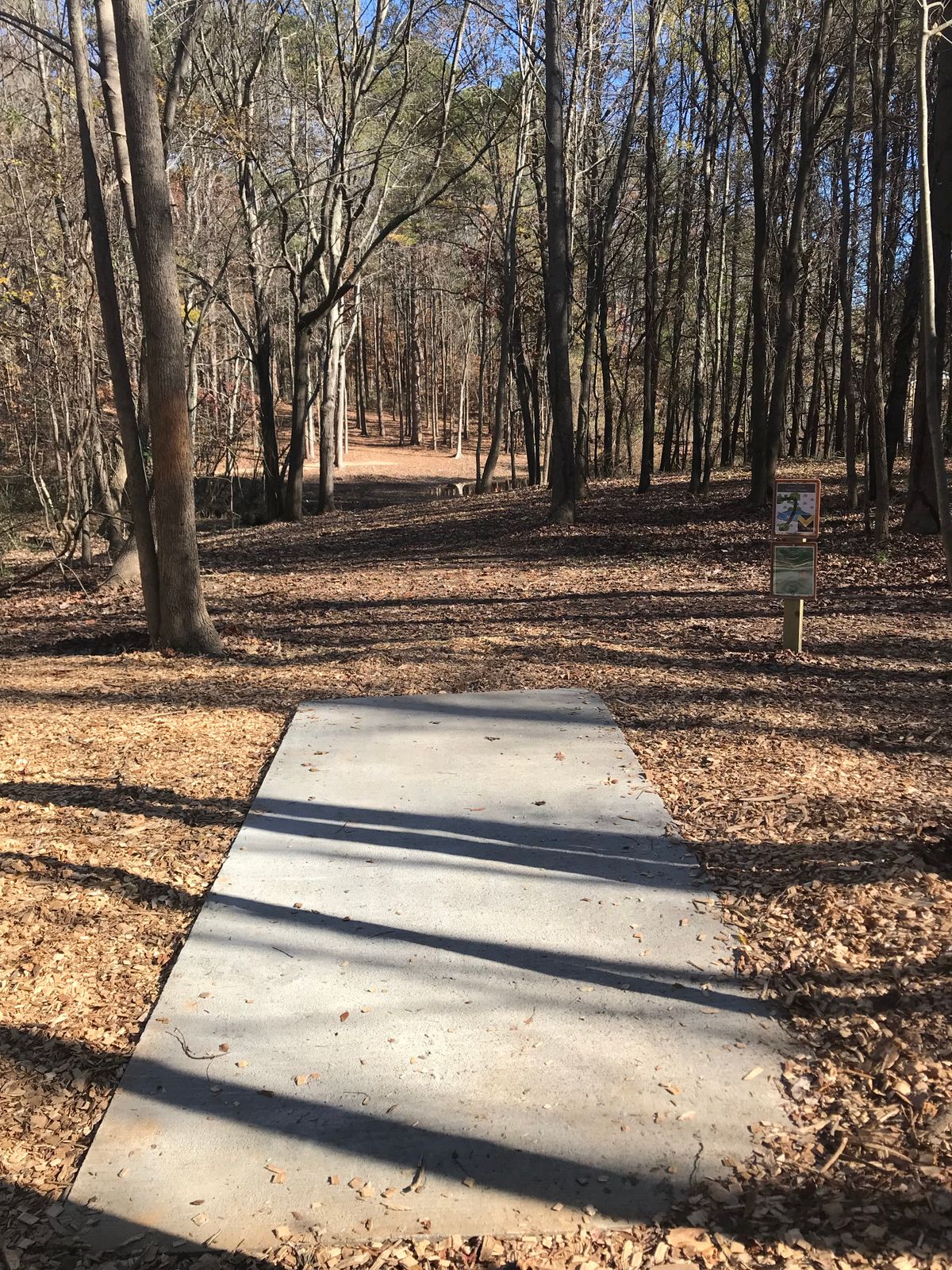 Hole 5 tee