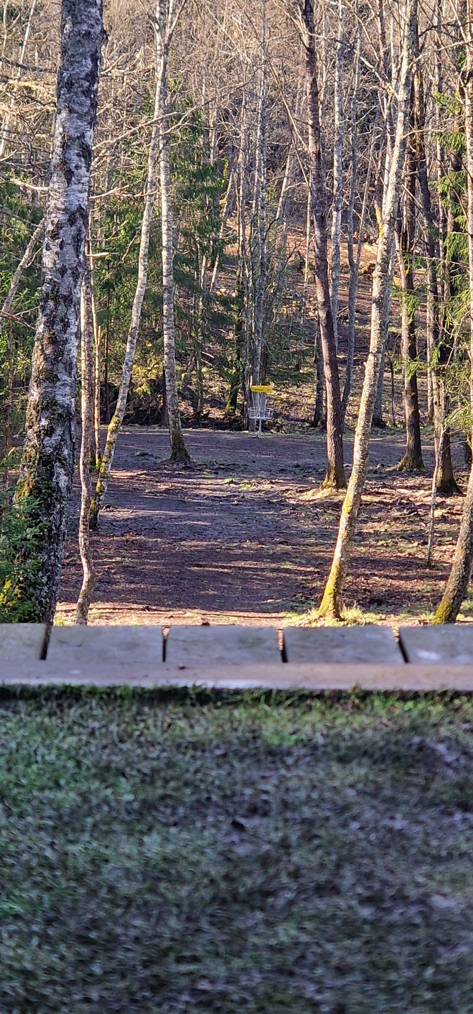 Teepad hole 2
