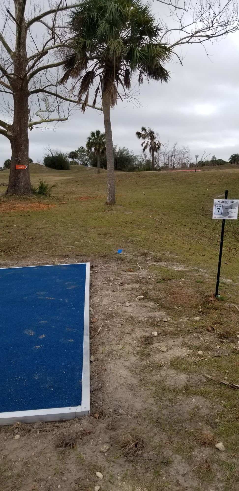 Hole 7 Blue Tee Box