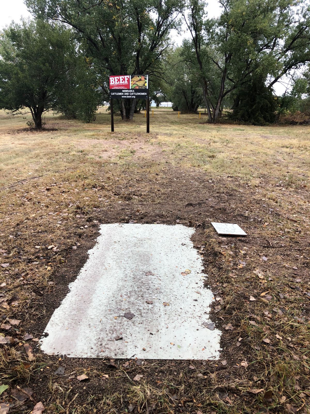 Hole 4- par 3