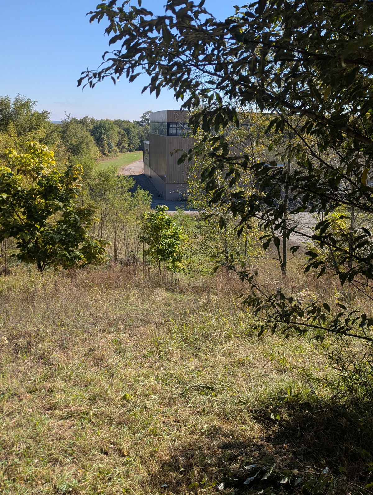 Hole 8 from the tee