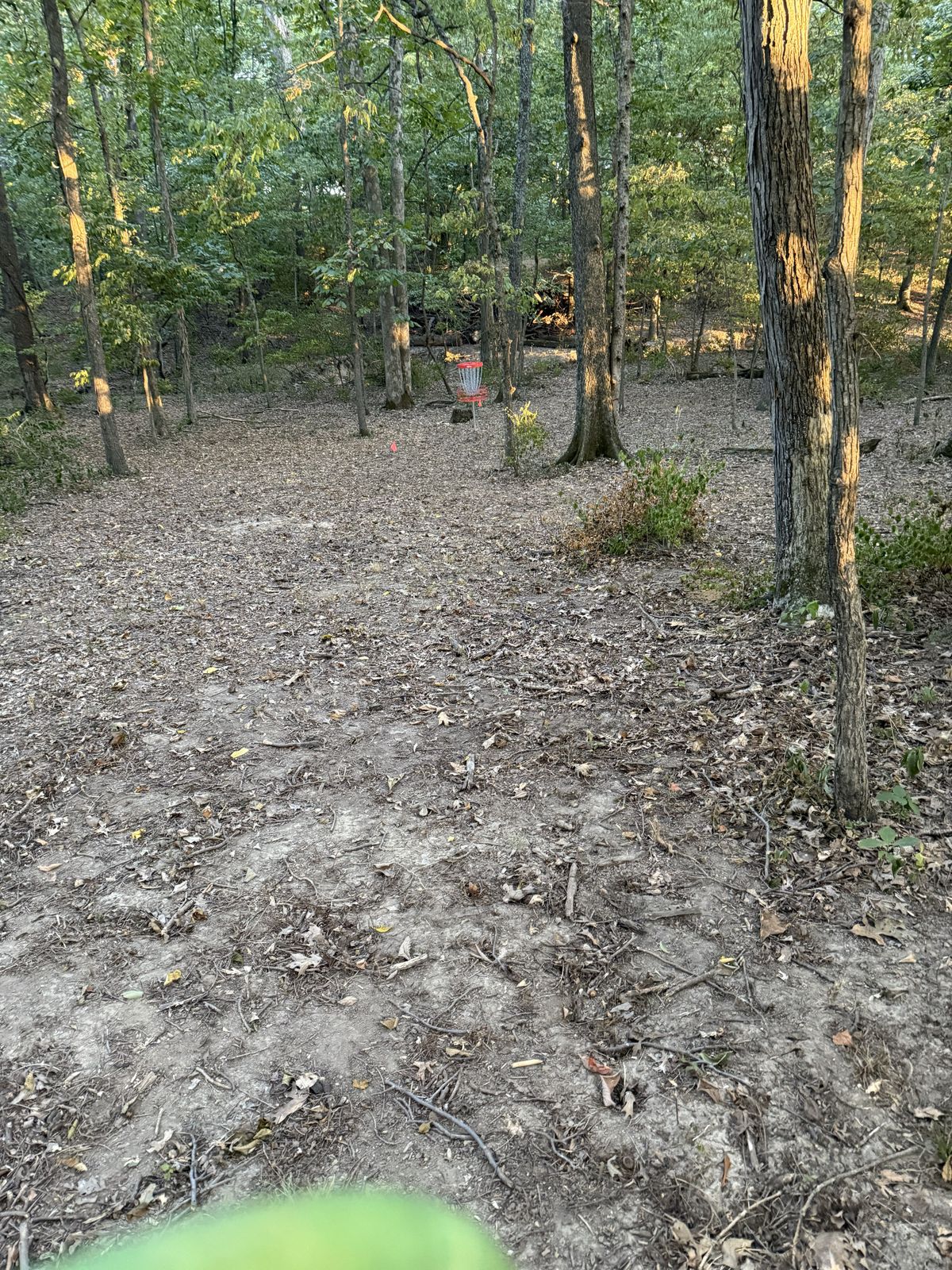 Hole 11 Basket
