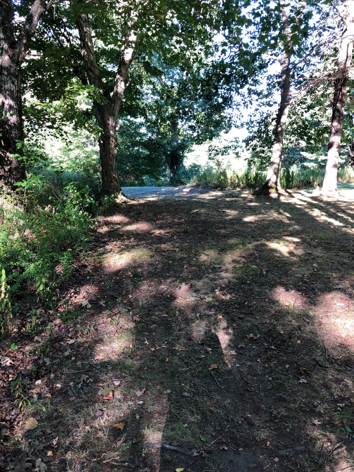 Hole 7 tee box