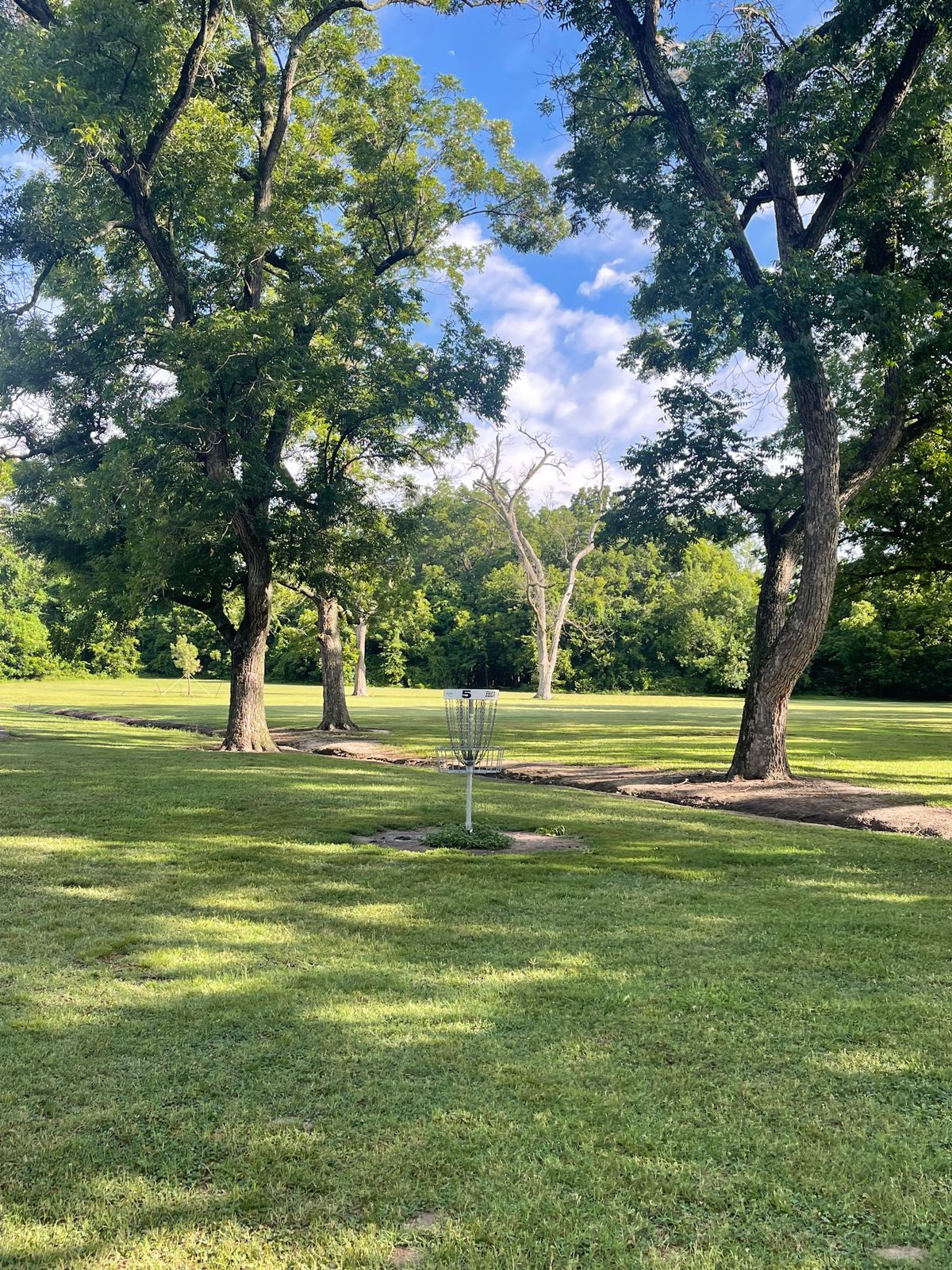 Hole 5 basket