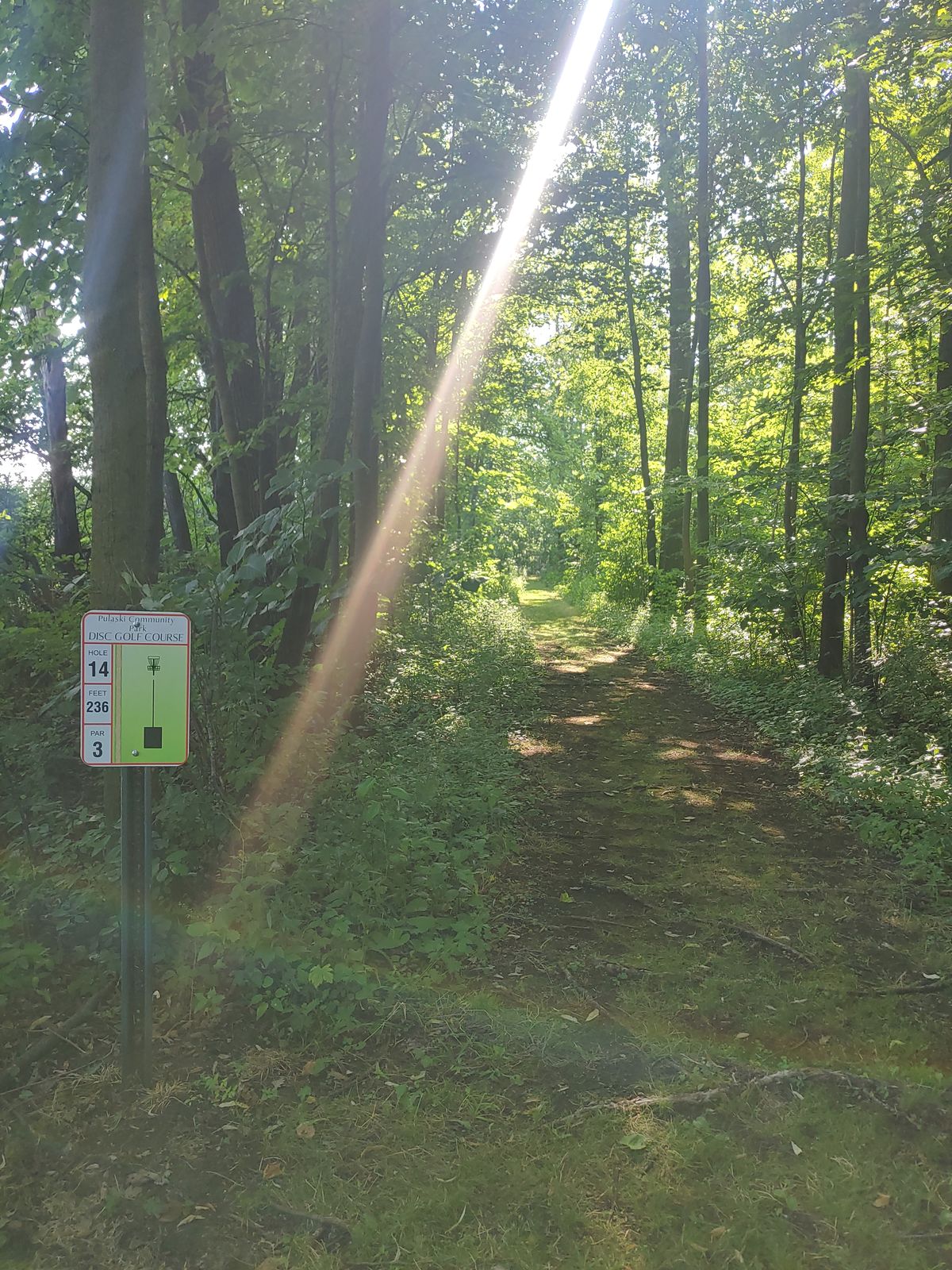Hole 14/5