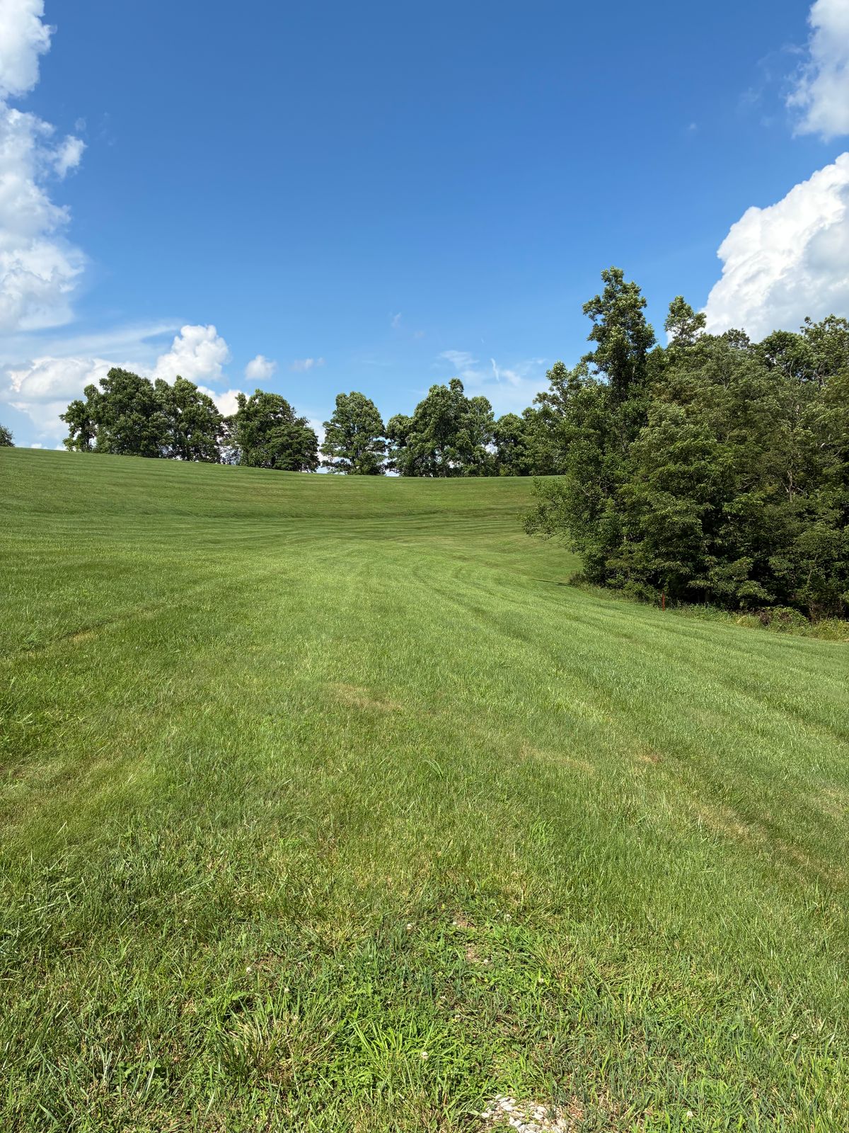 #13 Tee box