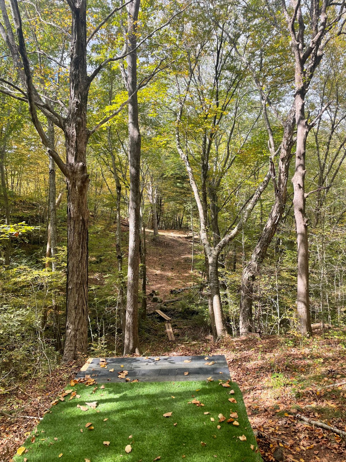 View from hole 5’s teepad