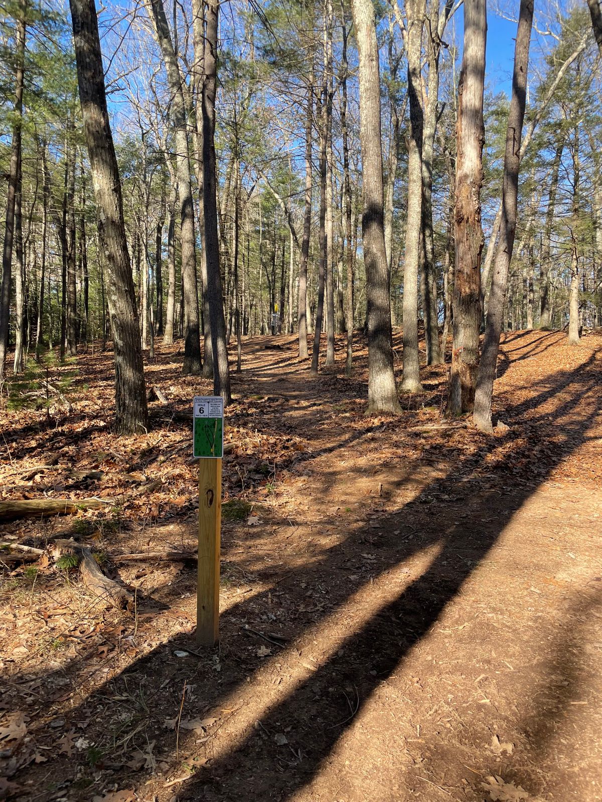 Hole 6 tee to basket