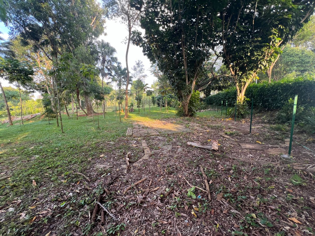 Hole 6 well protected green area for the C placement, looking back towards fairway.