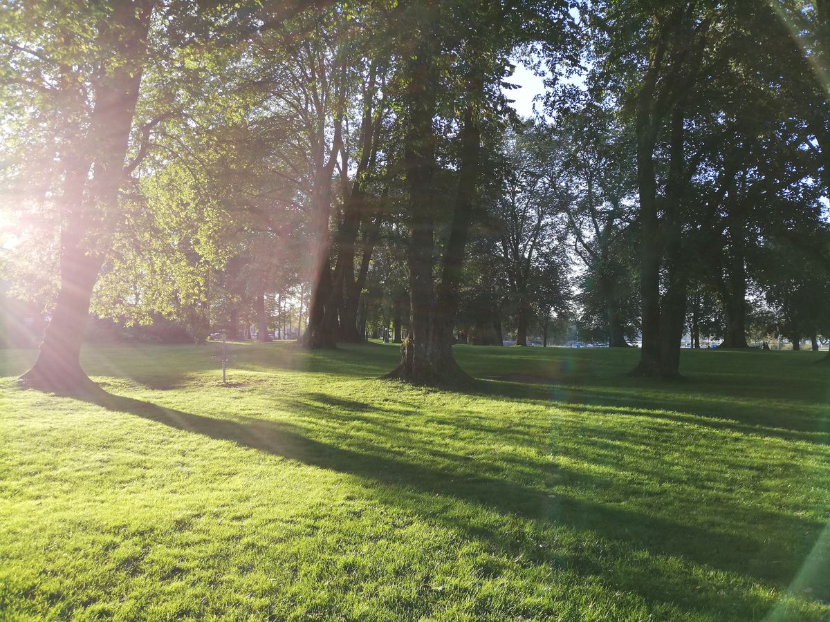Park course