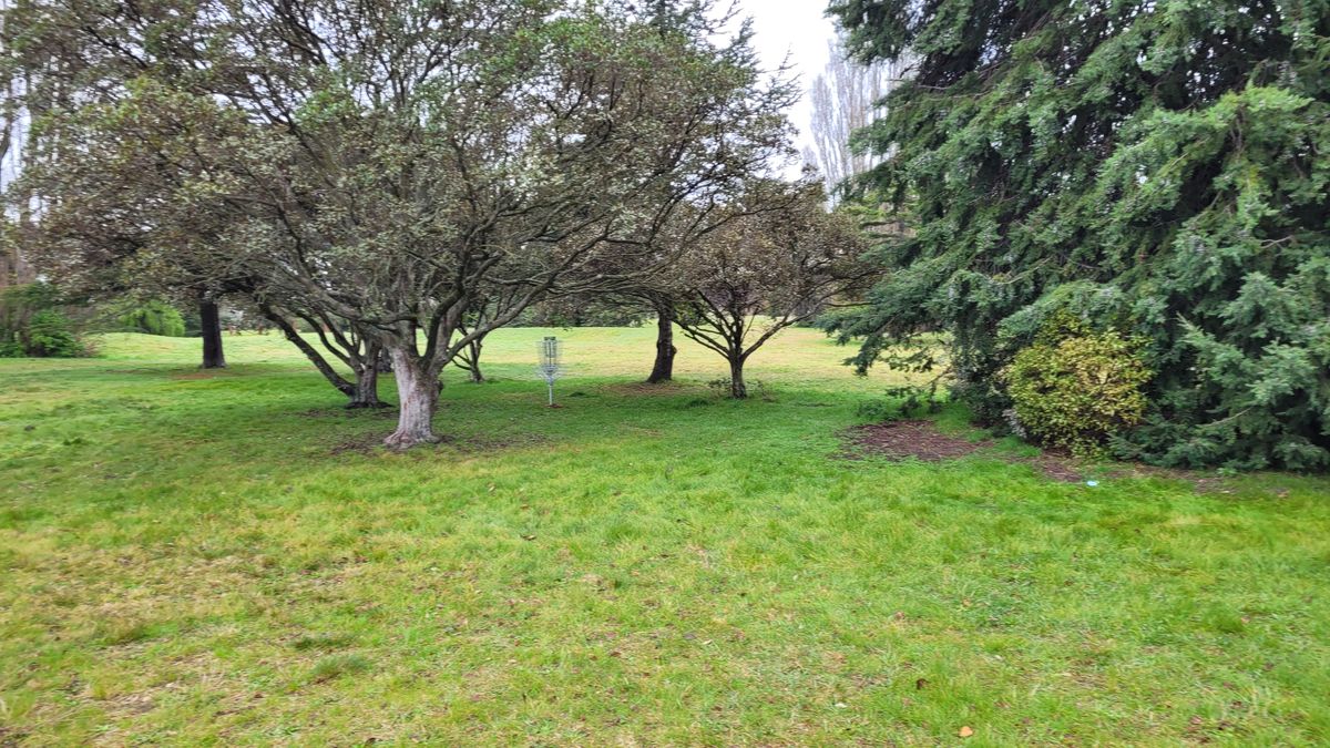 Hole 4 Basket