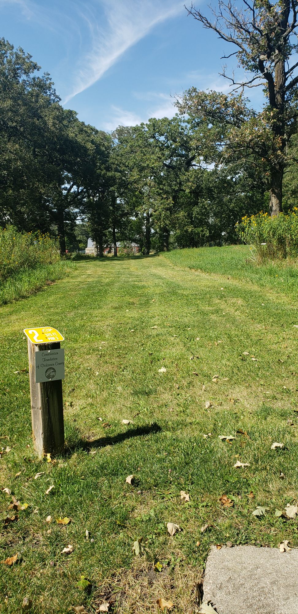 Hole 2 Gold tee