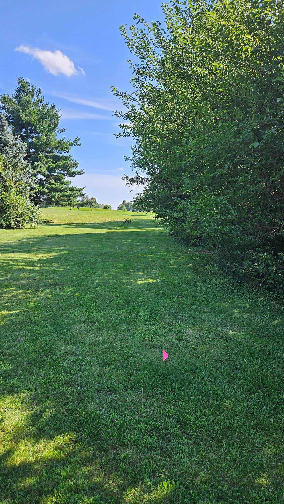 Hole 3 Tee