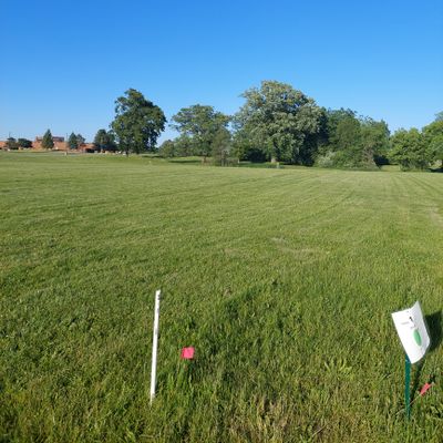 Hole 1 Tee pad