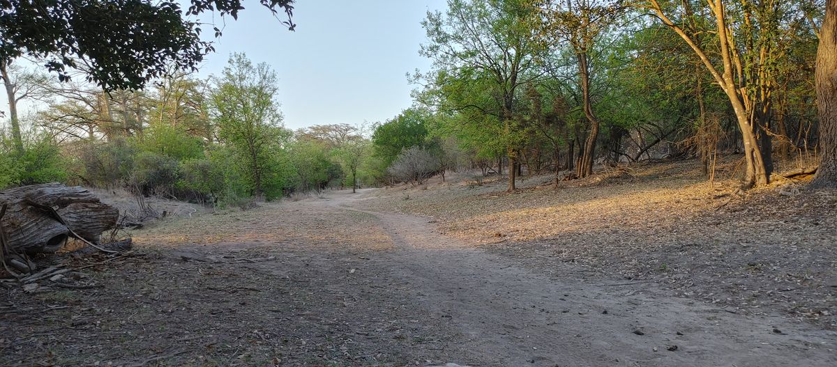 Hole 14 greenin up