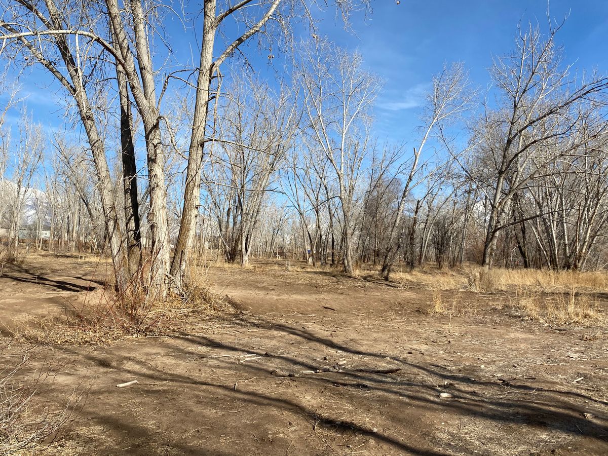Hole #5 Fairway