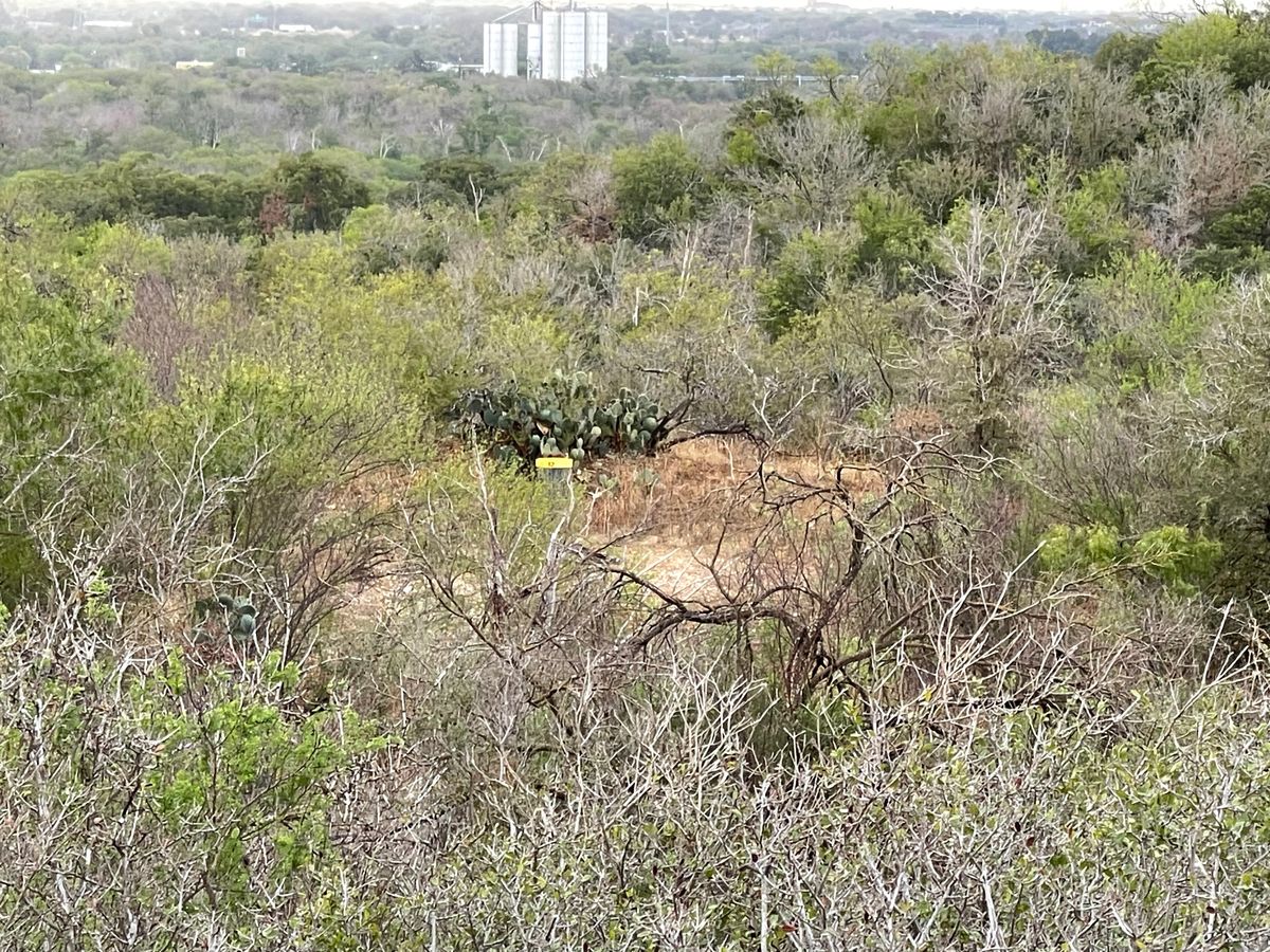 Hole 12