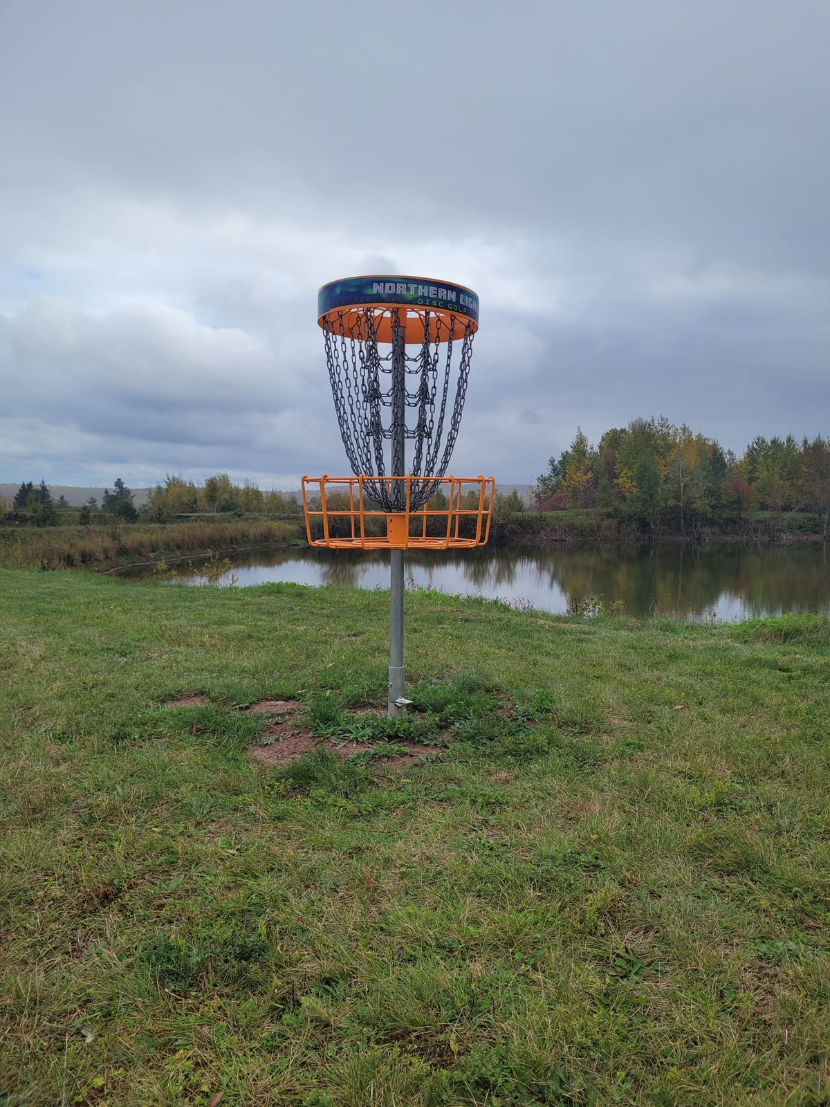 Hole 11 basket