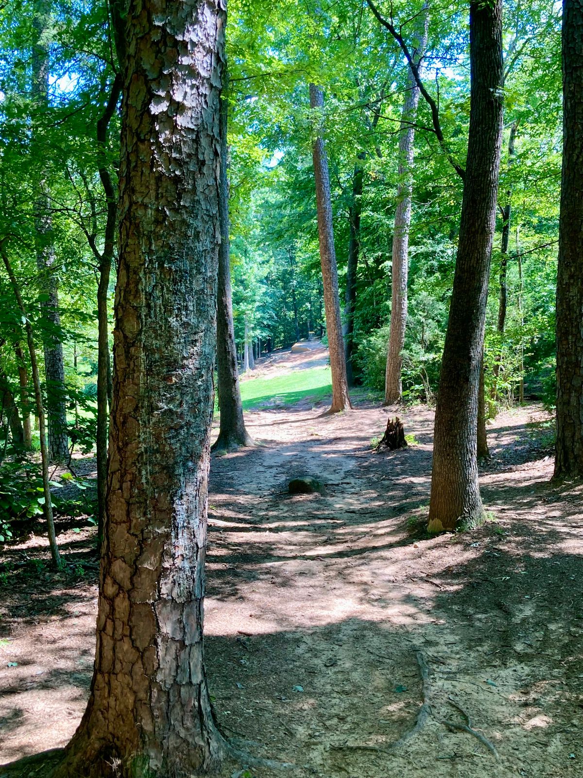 Great mix of holes throughout the course.