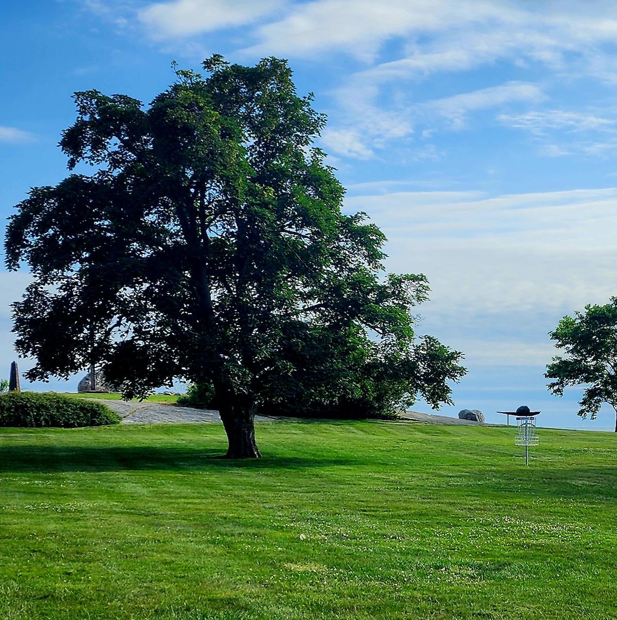 Hole 8 basket